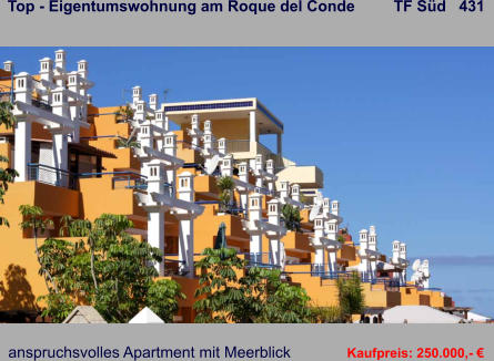 Top - Eigentumswohnung am Roque del Conde         TF Süd   431   anspruchsvolles Apartment mit Meerblick   Kaufpreis: 250.000,- €